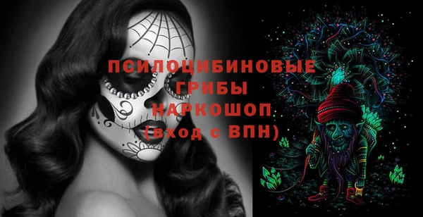 хмурый Нягань
