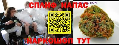 a pvp Можга