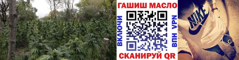 OMG ONION Шебекино ТГК вейп