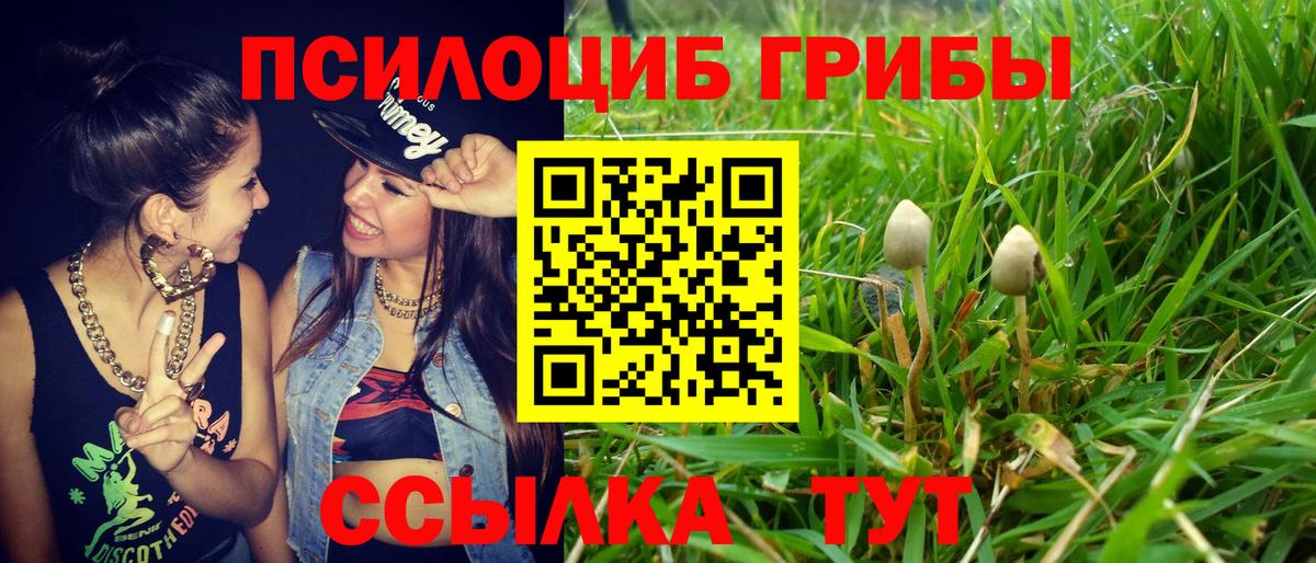 Псилоцибиновые грибы мицелий Шебекино
