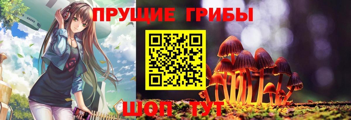 цена наркотик  Вход с VPN  Шебекино  Псилоцибиновые грибы прущие грибы 